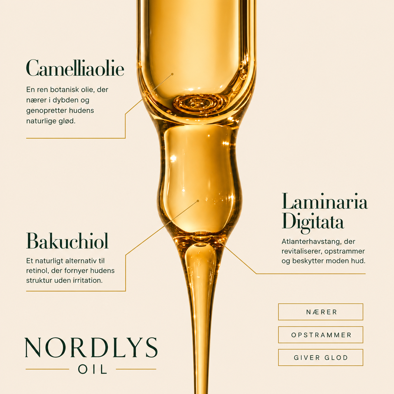 Nordlys Oil 120 ml